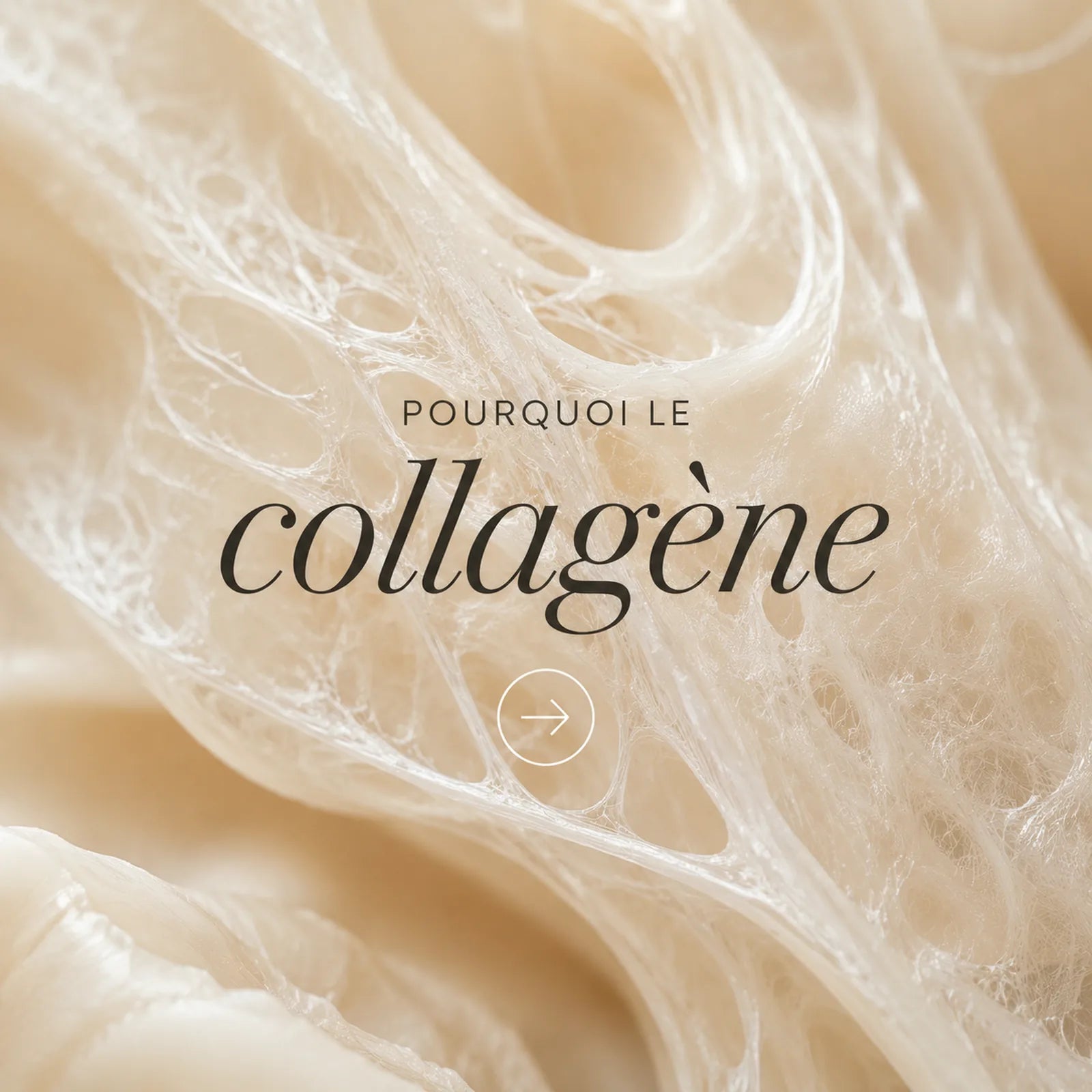 Panier en osier de produits Kleamn sur un muret en pierre — collection Best sellers